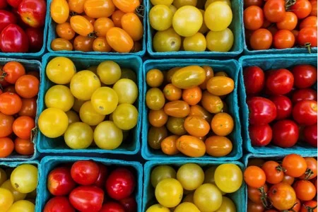 Local Food Movement Builds in Kentucky