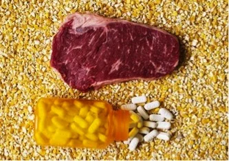 Is the biggest danger to American families the food on their tables?  The Debate Surrounding the Overuse of Antibiotics in Livestock and Poultry Populations