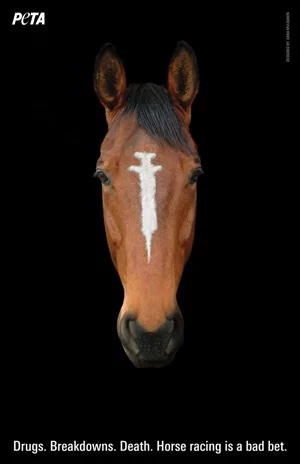 Thoroughbred Horseracing Integrity Act of 2015: A Step Forward, But In The Right Direction?