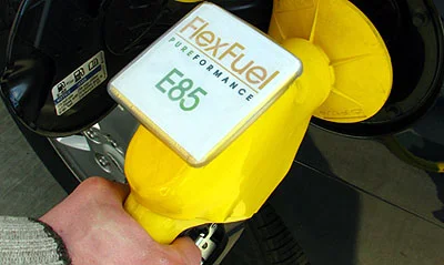 Striking a Balance Between Environmental Protection and the Economy 