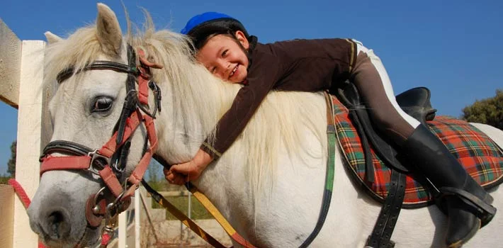 Hippotherapy: How Beneficial Equine-Based Therapy Methods are Unfairly Excluded From a Child’s Free and Appropriate Public Education under the Individuals with Disabilities Education Act