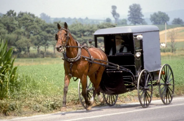 Kentucky Amish Not Dropping the Fight