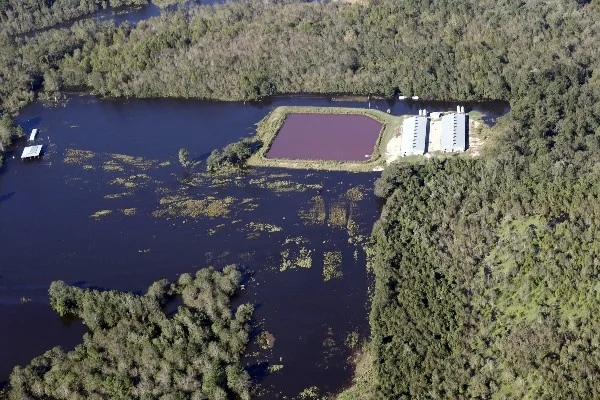 Wasteful Flooding