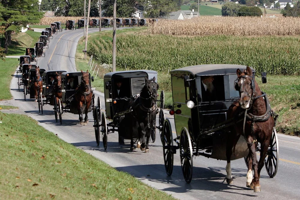 Homemade, Natural Skin Healing Products Land Bath County Amish Man in Federal Prison