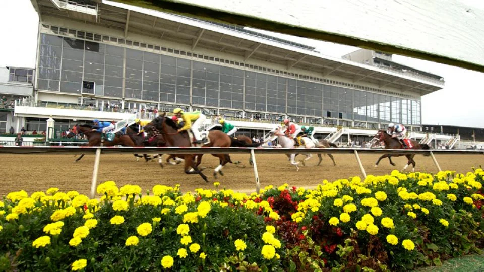 http://www.benchwarmersports.com/horse-racing-packages
