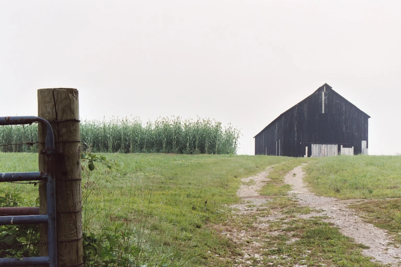Kentucky Journal of Equine, Agriculture, & Natural