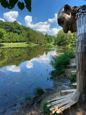 Forest in Crisis: LG&E's Ploy to Destroy Kentucky Wildlife