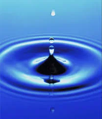 Supreme Court to Take on the Muddy and Polluted Interpretations of the Clean Water Act