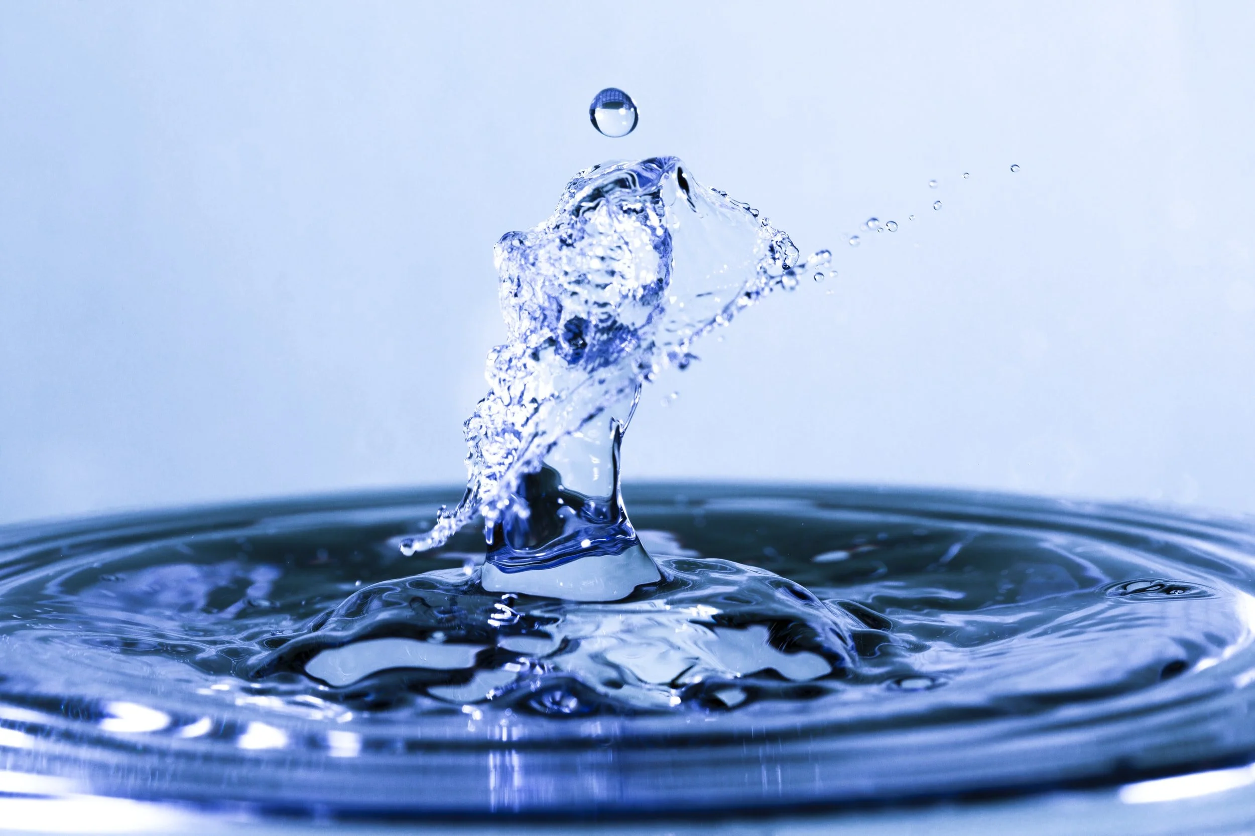 Martin County's Fight for Clean, Affordable Drinking Water