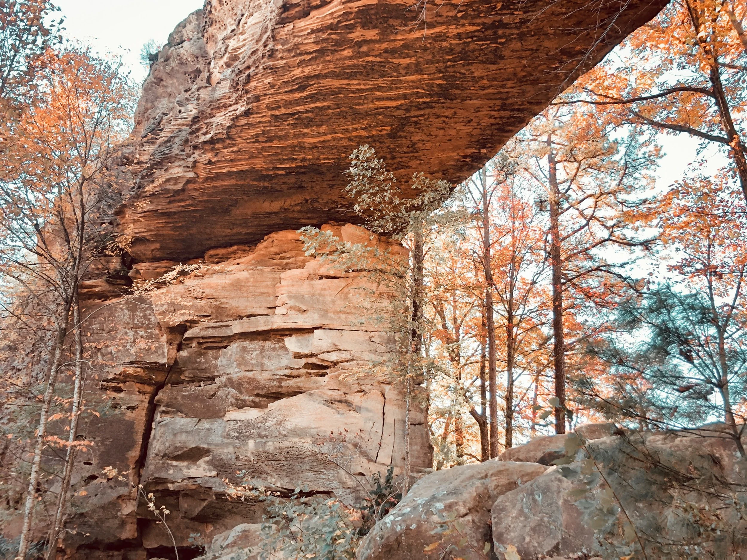 Take a Hike: How One Plan May Threaten the Environmental Stability of a Kentucky Gem