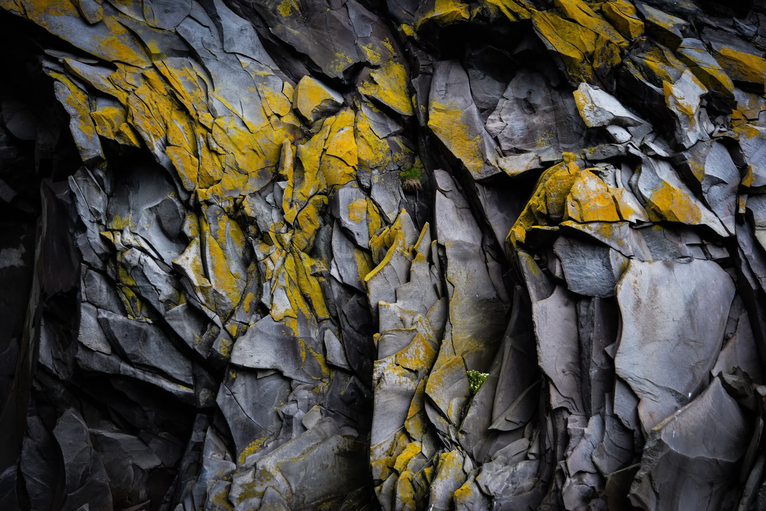 unsplash-image-Zjd6NvWUf5k.jpg