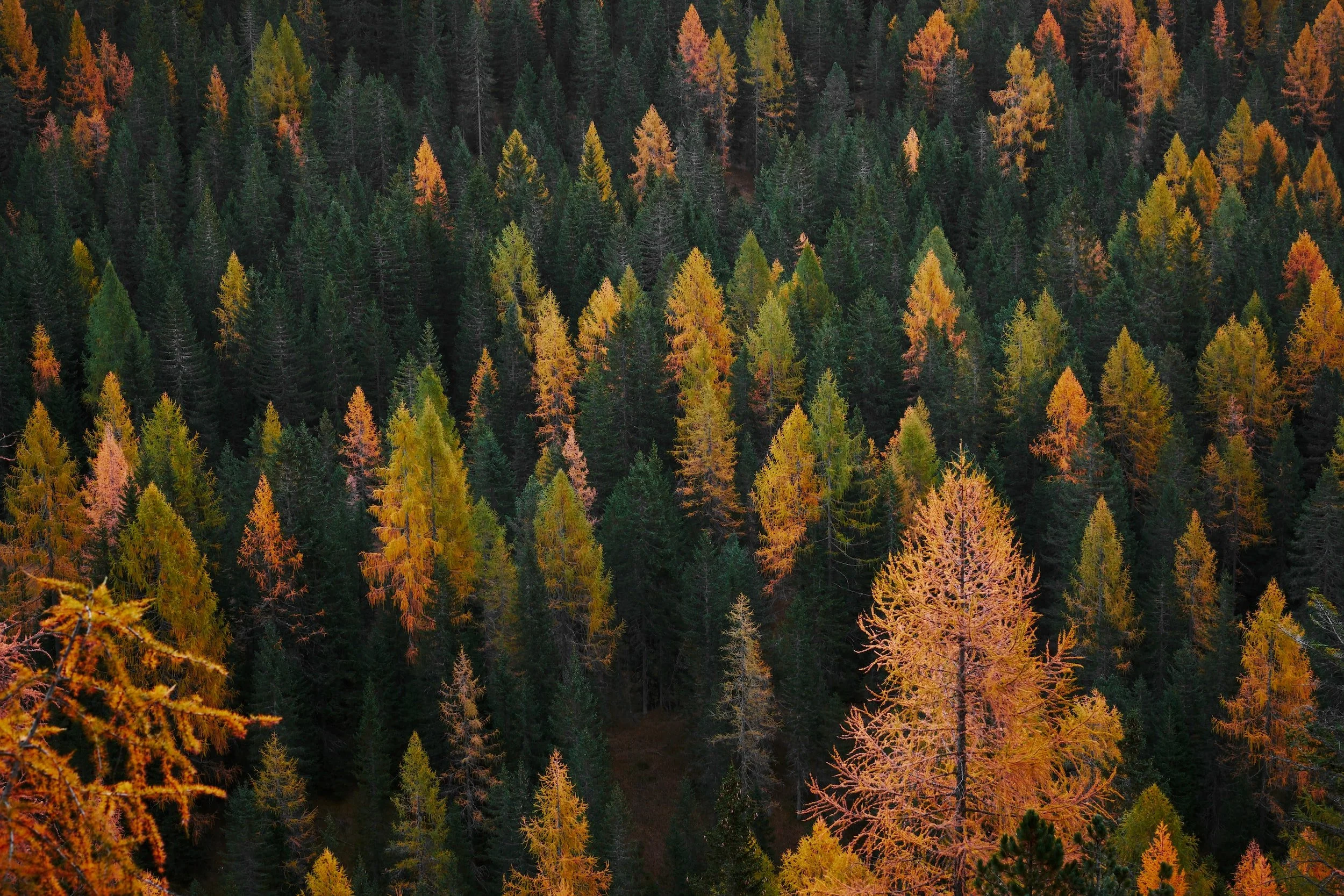 Conservation or Exploitation?: Restricting Conservation Easement Syndicates
