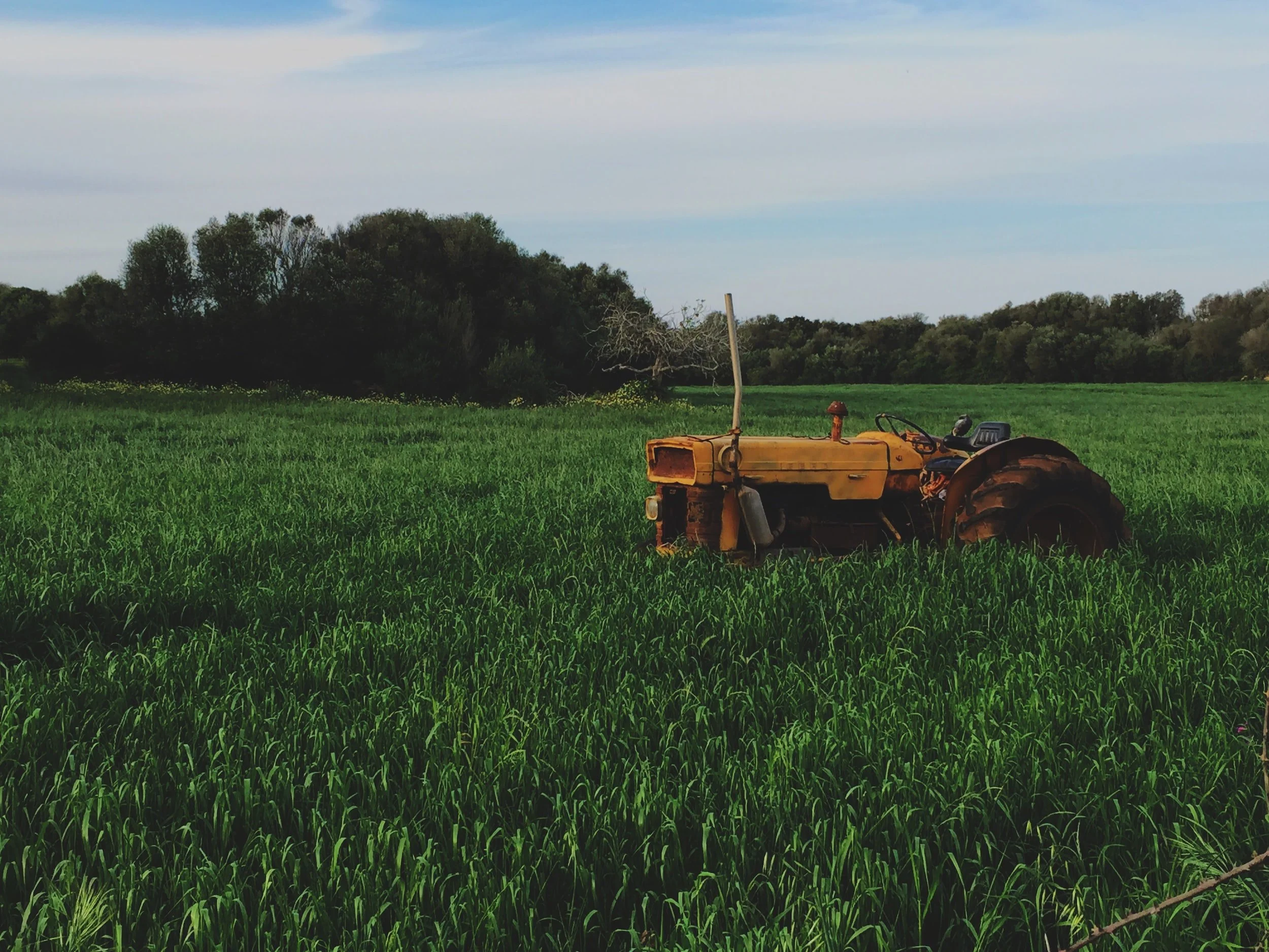 They Keep Food on Our Tables and It's Time the Federal Government Returned the Favor: A Call for the Expansion of Overtime Compensation Rights to Agricultural Workers