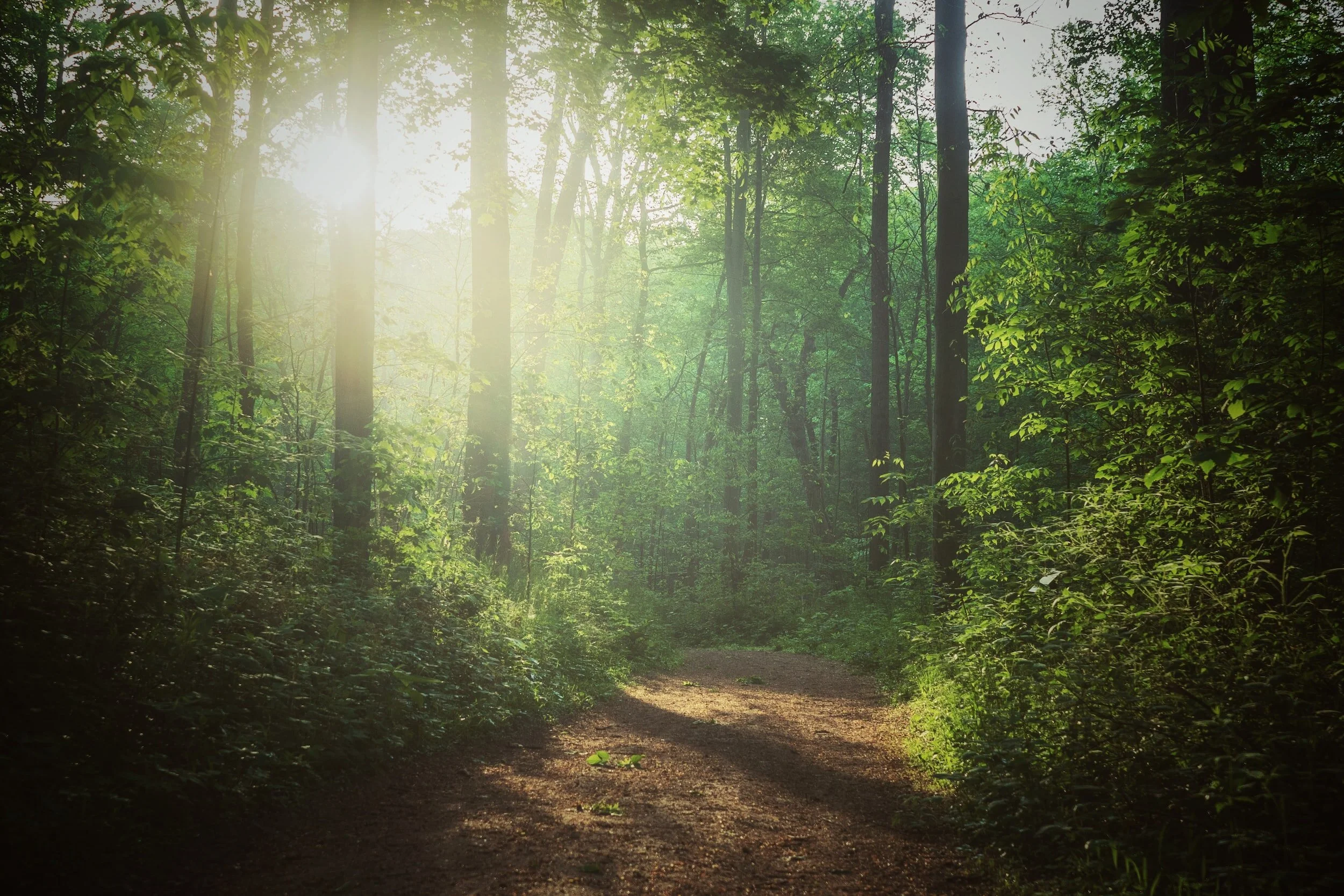 A New Era of Permitting: Why Revising Section 10 of the ESA is Necessary for Conservation Efforts