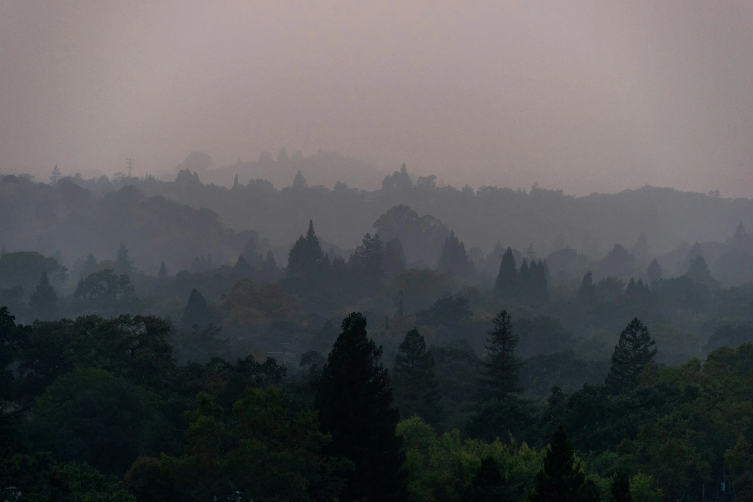 A Clear View or a Clouded Future? Kentucky’s Legal Haze Over Air Pollution