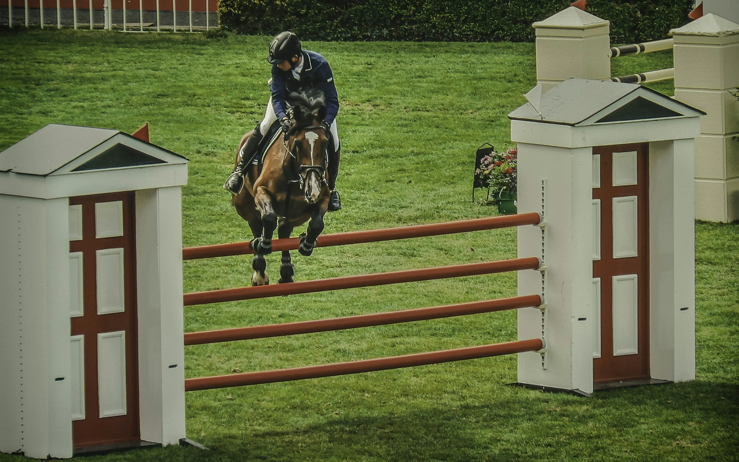 Protecting the American Equestrian’s Social License to Operate: The Importance of the PAST Act 