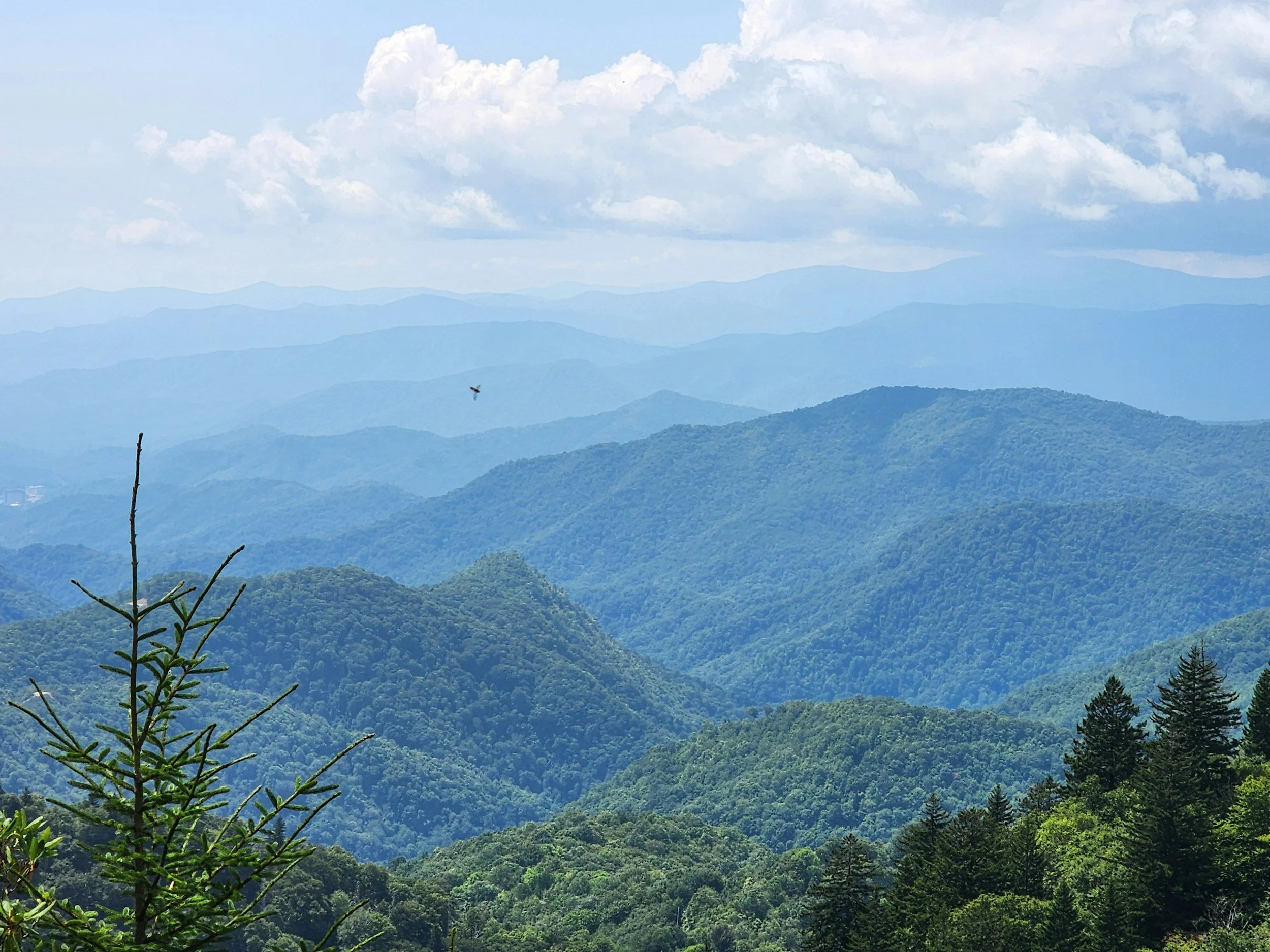 From Strip Mines to Solar Panels: Regulating Renewable Energy Development on Reclaimed Coal Land in Eastern Kentucky