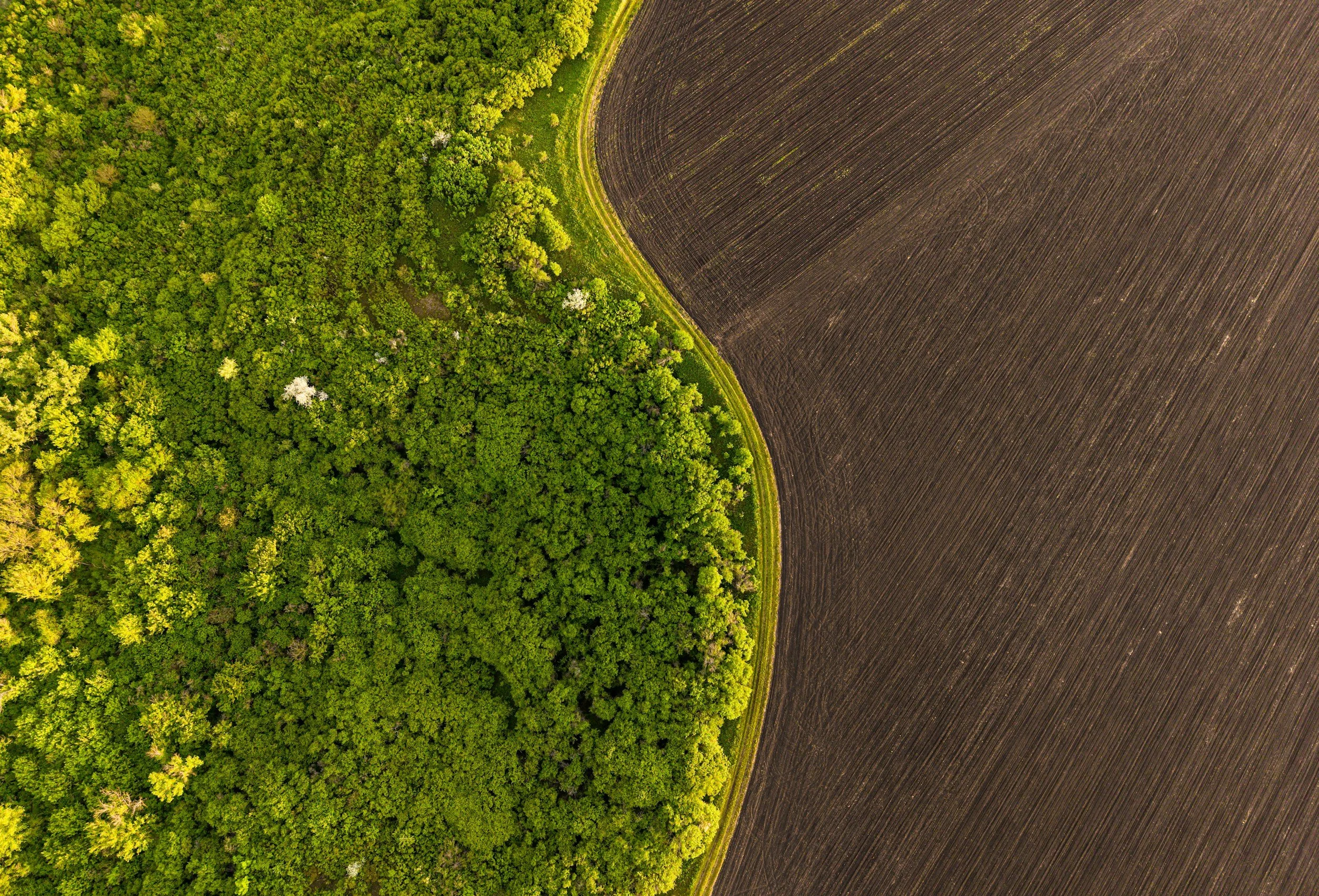 unsplash-image-bmcEVE8CbnE.jpg