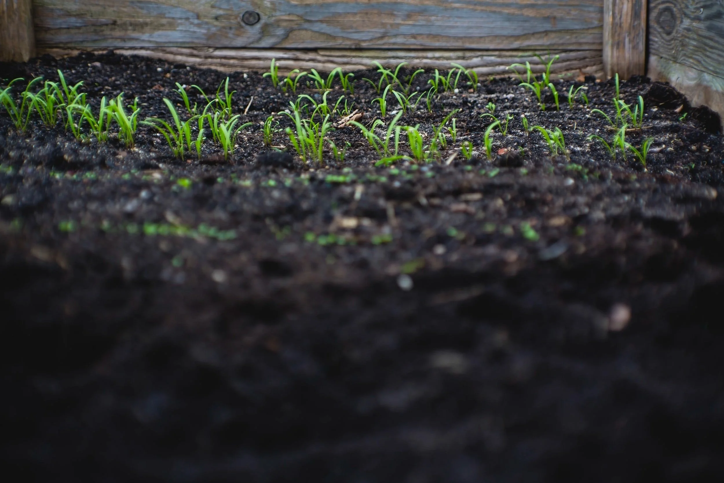The Pros and Cons of Soil Tilling