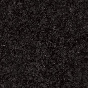 Impala Black | Level 2.jpg