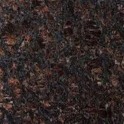 Tan Brown | Level 1.jpg