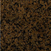 Tropical Brown | Level 2.jpg