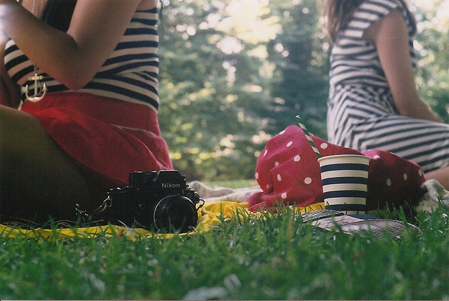 taken by beesting .