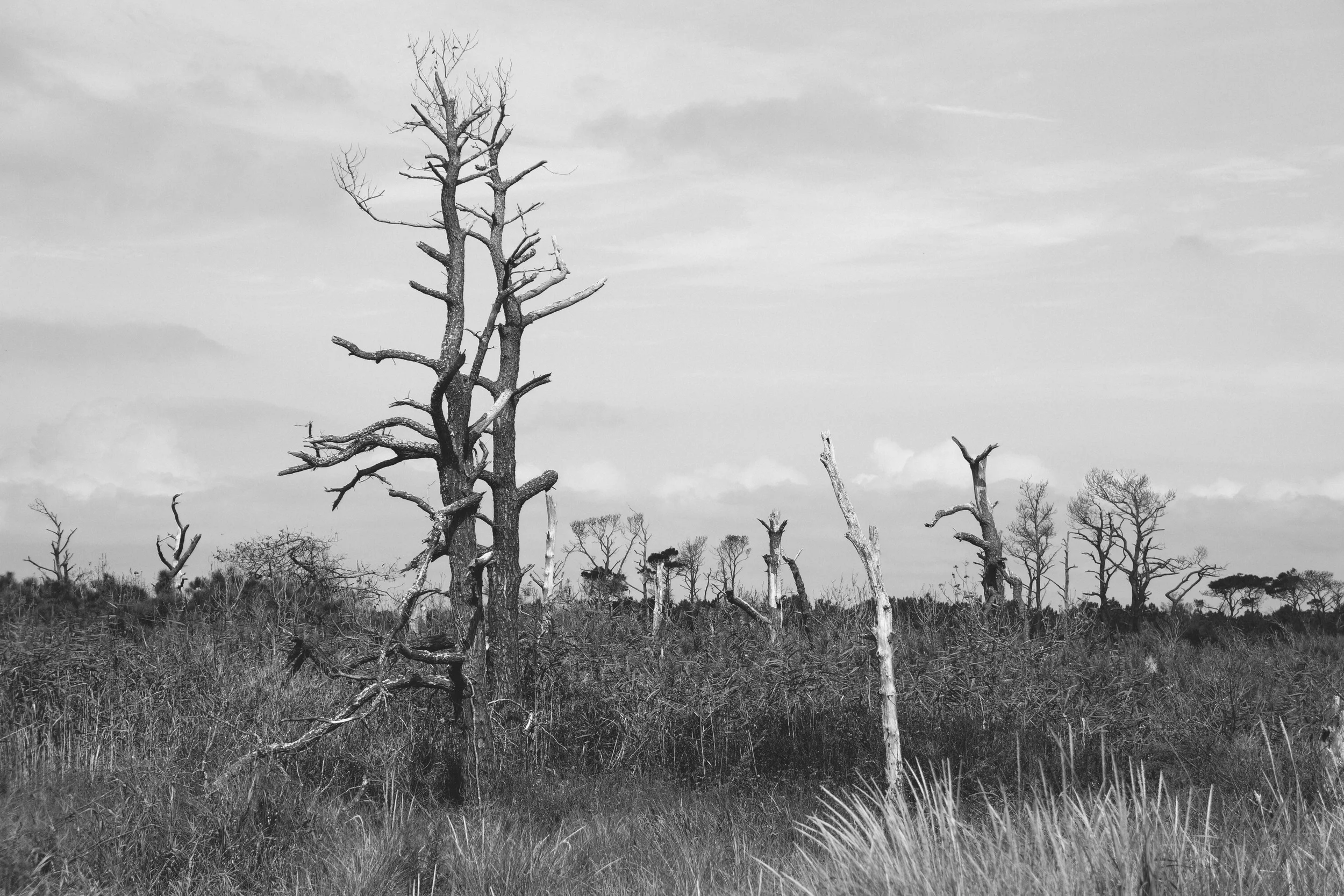 92015 (27 of 93).jpg