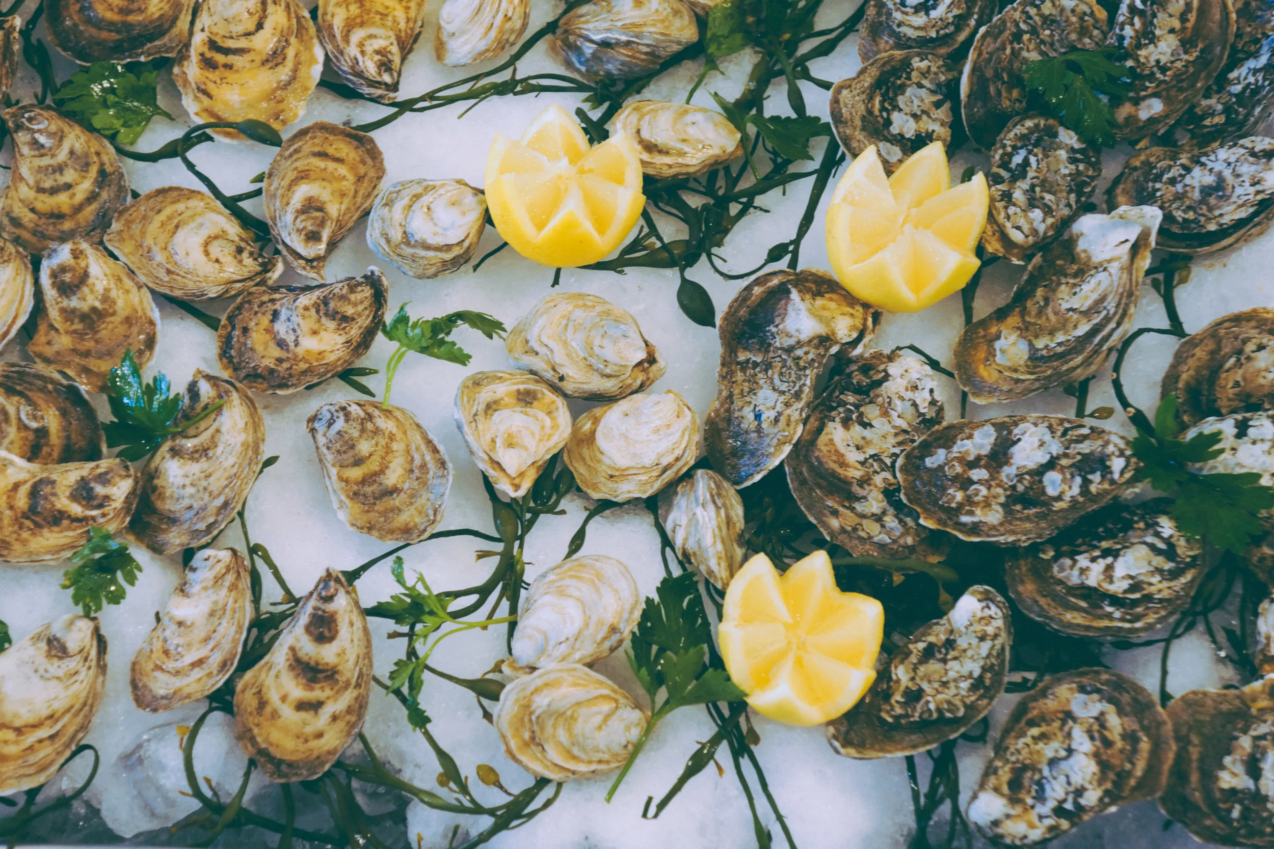 043016 (24 of 30).jpg