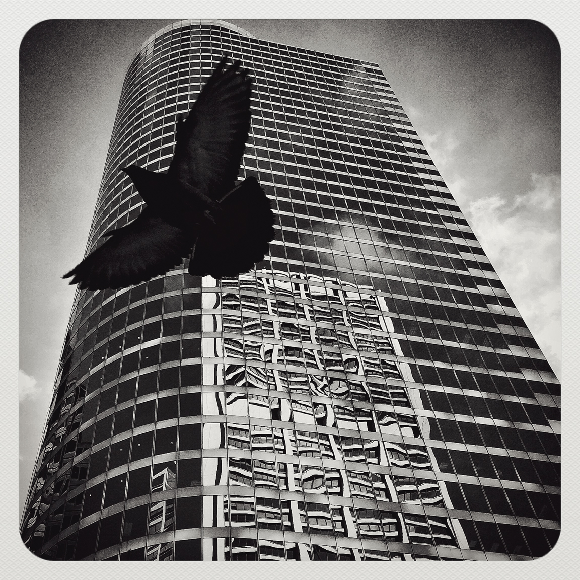 SERIO_iPHONEOGRAPHY_CHICAGO_0011_WEB.jpg