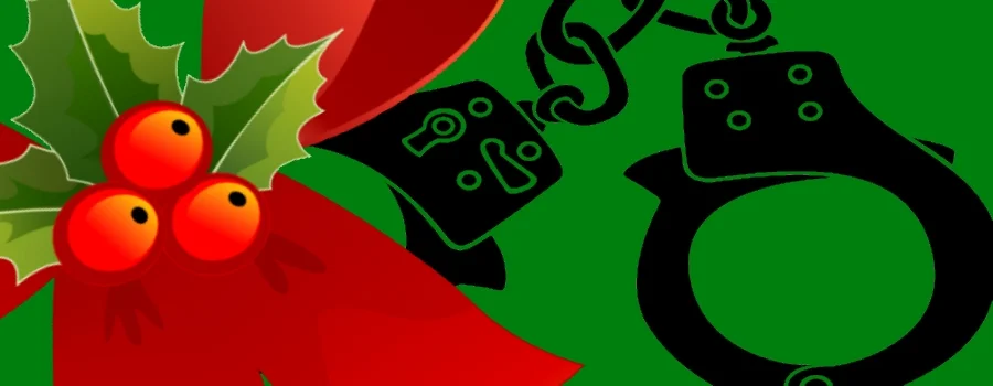 Volunteer Appreciation and Holiday Party 2015