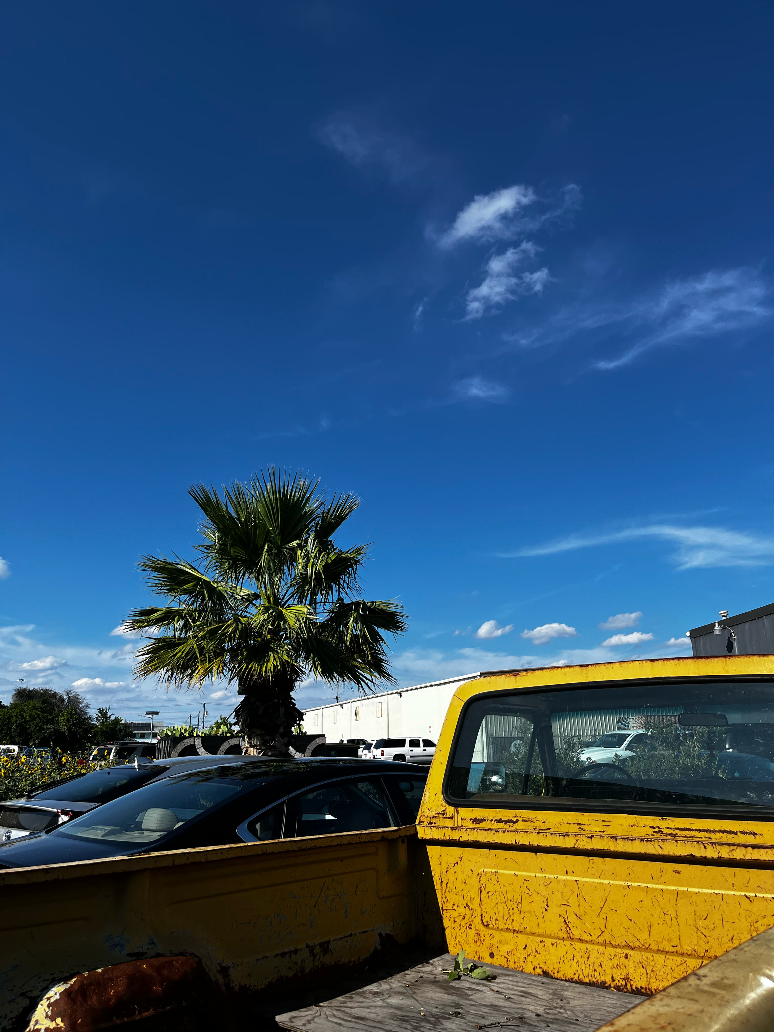 IMG_0730.png