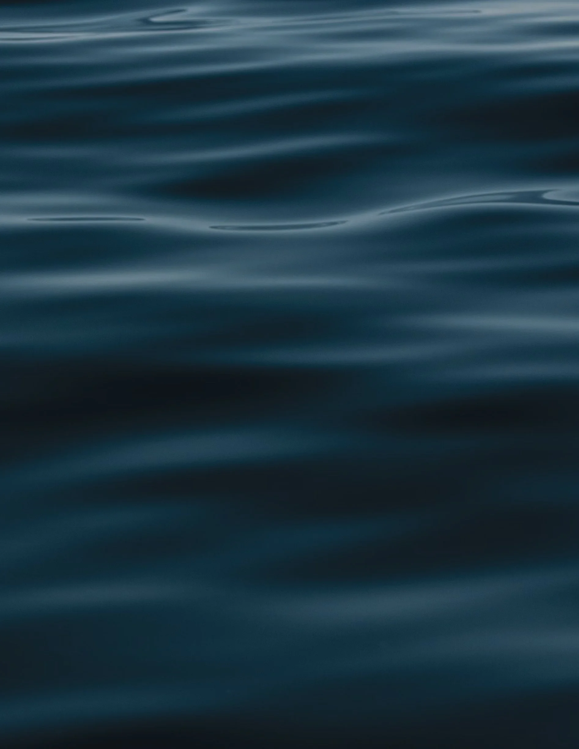 Endeavour — Ecosystem