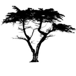 the-bonsai-giant2.png