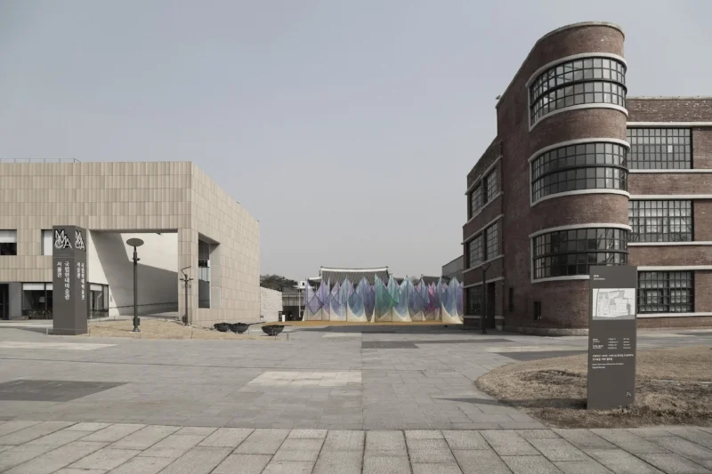 main_c10-sy.jpg