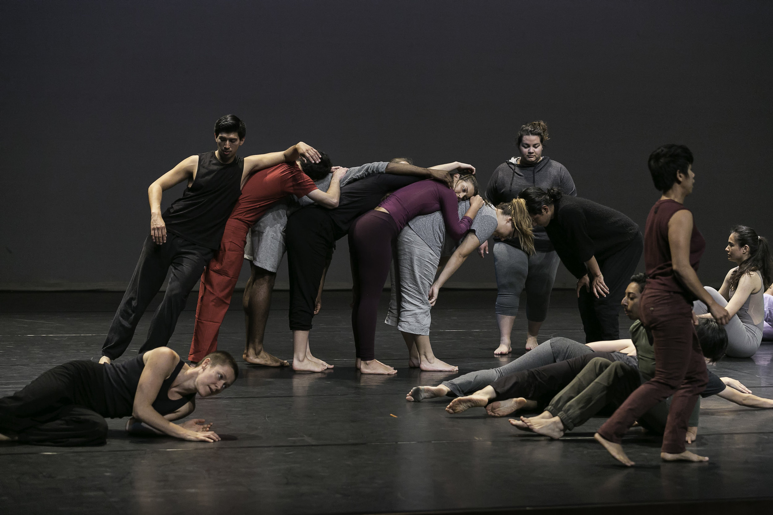 Trisha Brown Dance