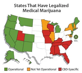 Source:&nbsp;NORML
