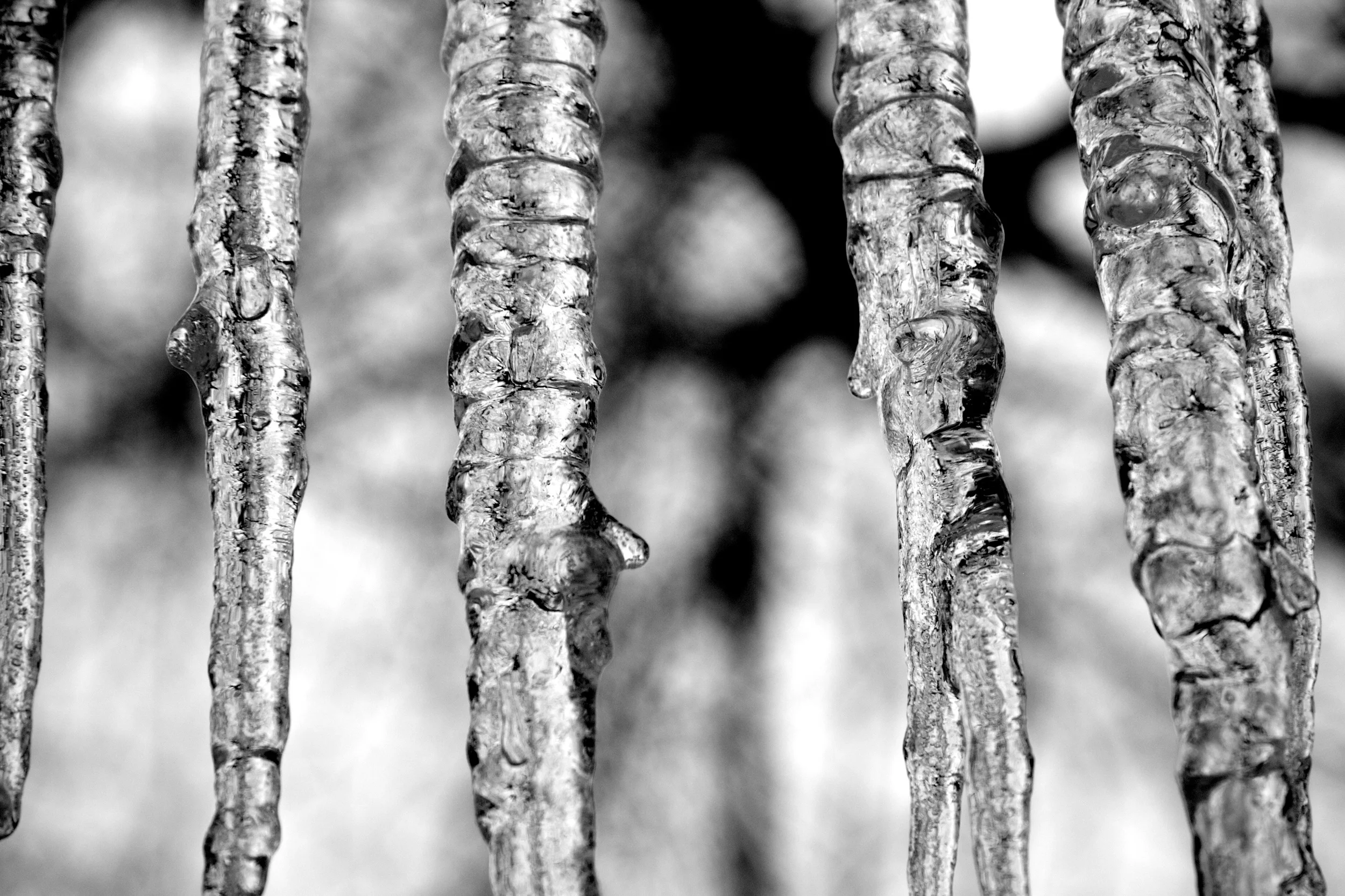 Winter outlook: what to expect over the next few months