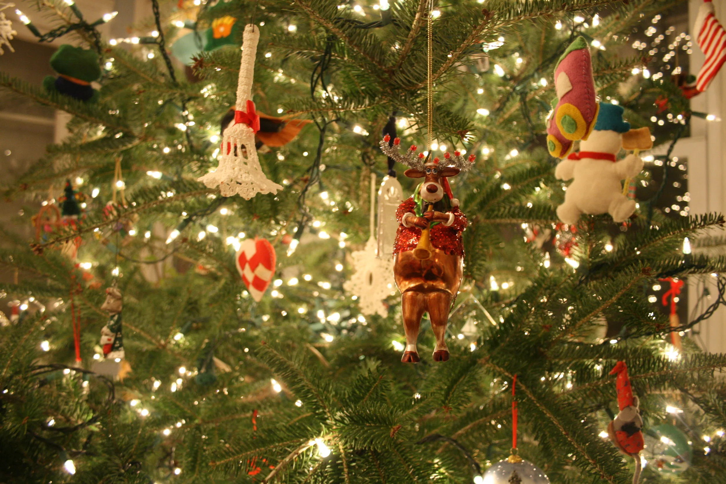 With Christmas behind us, a reminder to compost your tree