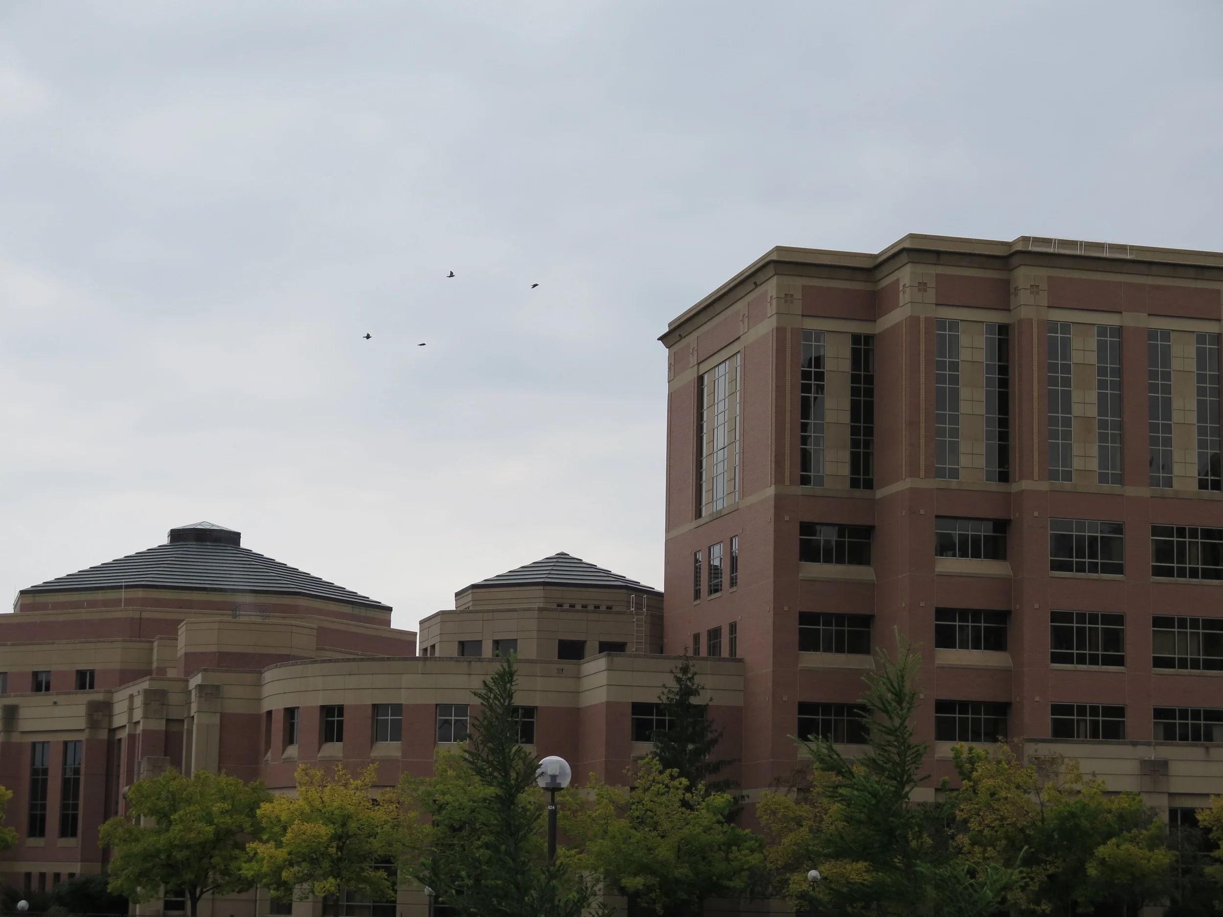 County Board approves $11 million expansion of Government Center