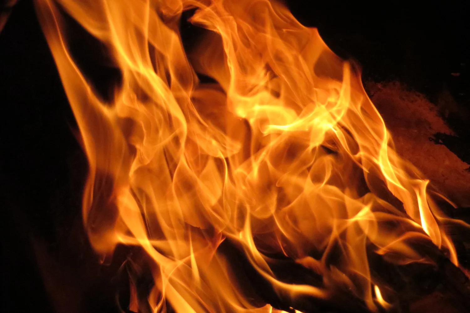 Five people rescued from a burning home in SE Rochester