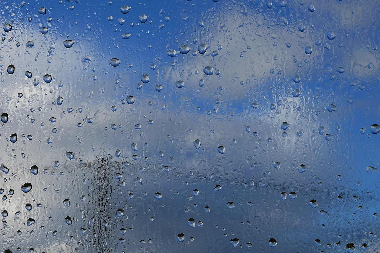 Rochester man rescues two people from the Zumbro River