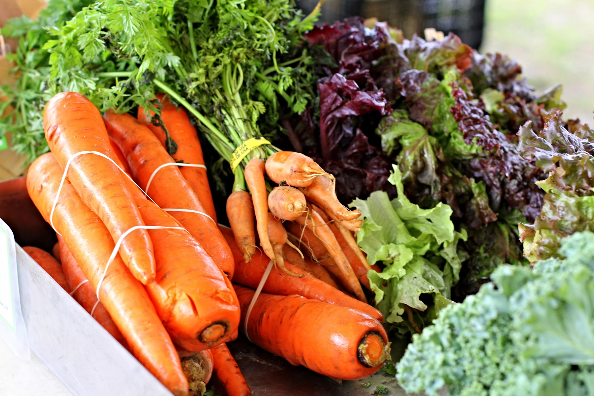 A growing event: Tuesday farmers market returns to Rochester