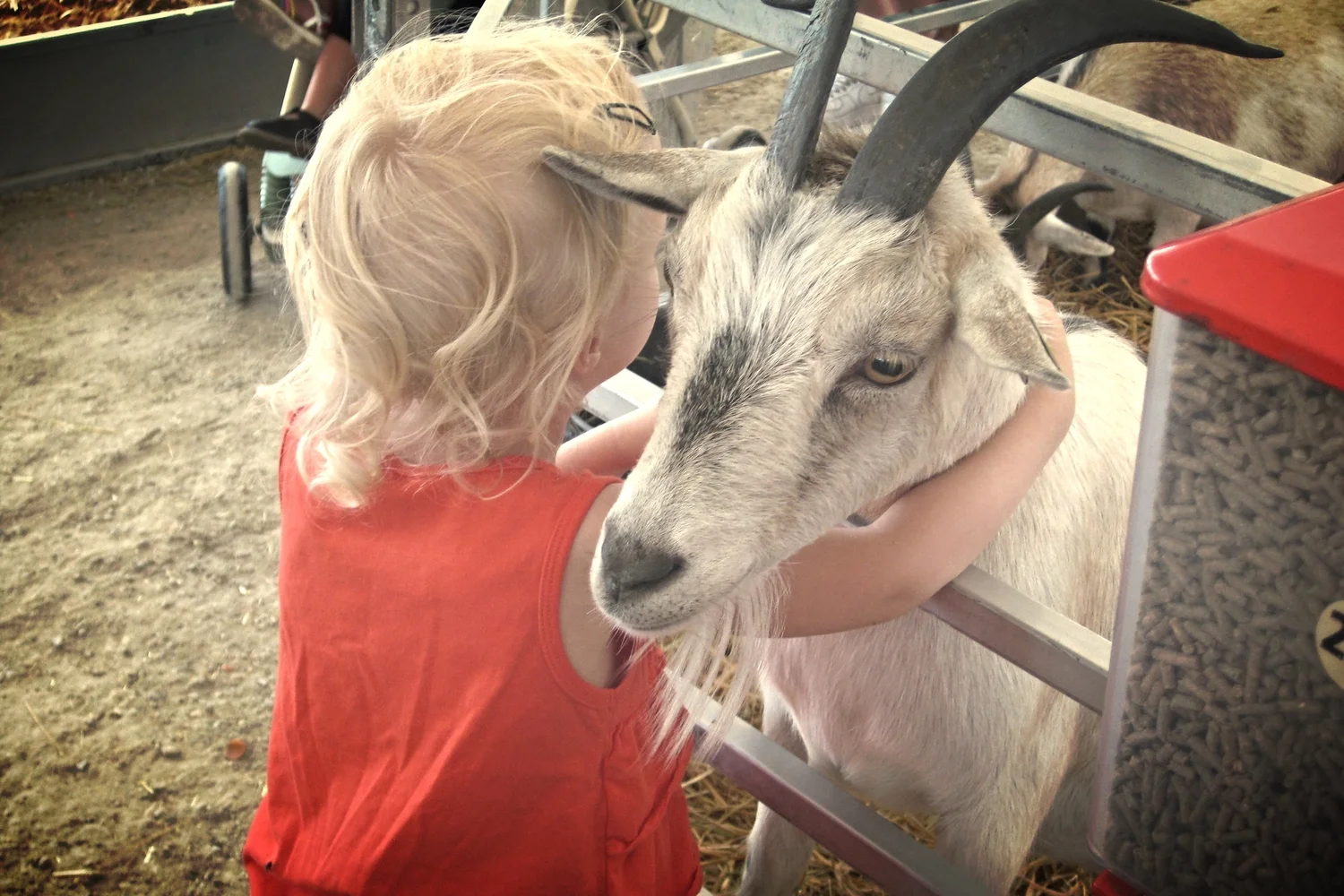 Summertime fun: 10 outdoor activities for families with young children