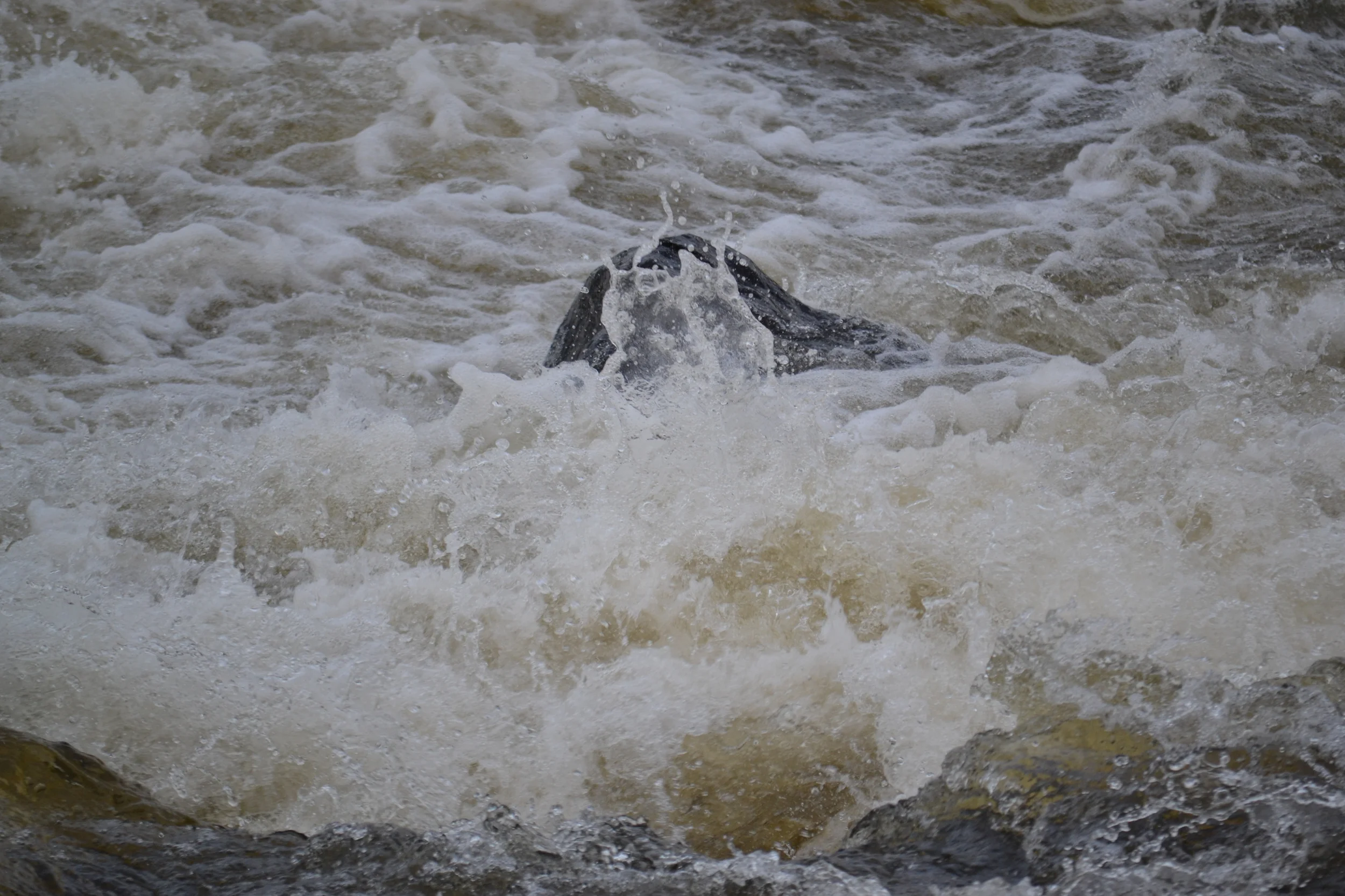 Rochester teen expected to be OK after canoe crash in the Boundary Waters