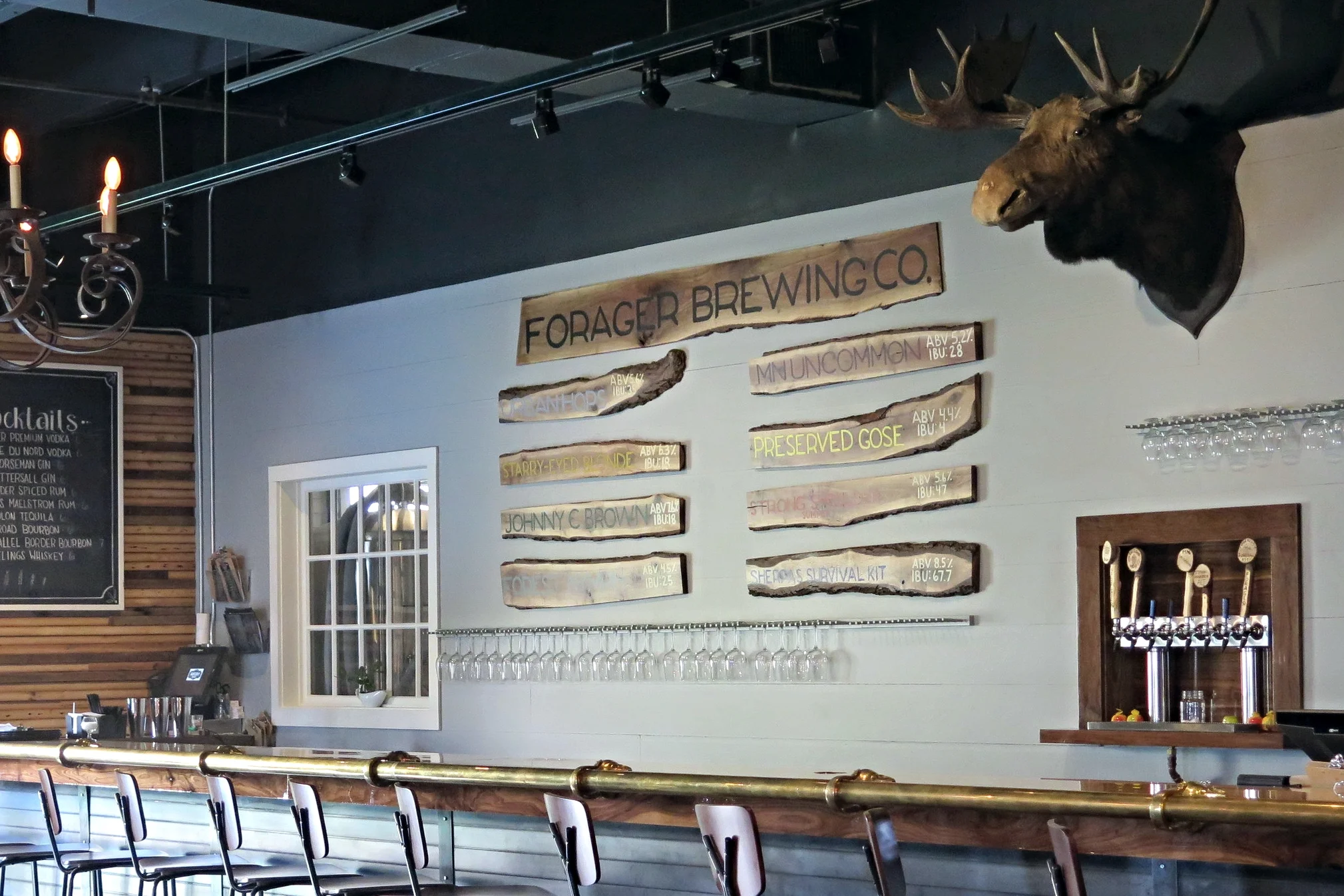 Forager Brewery opens to the public — here's what you need to know
