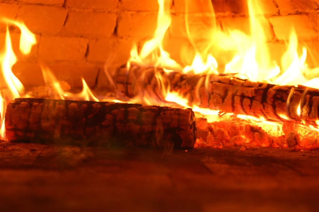 Wood-fired pizza trailer joins Rochester's food truck movement