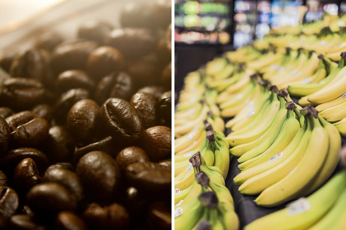 Pair of new businesses set to open this week in NW Rochester