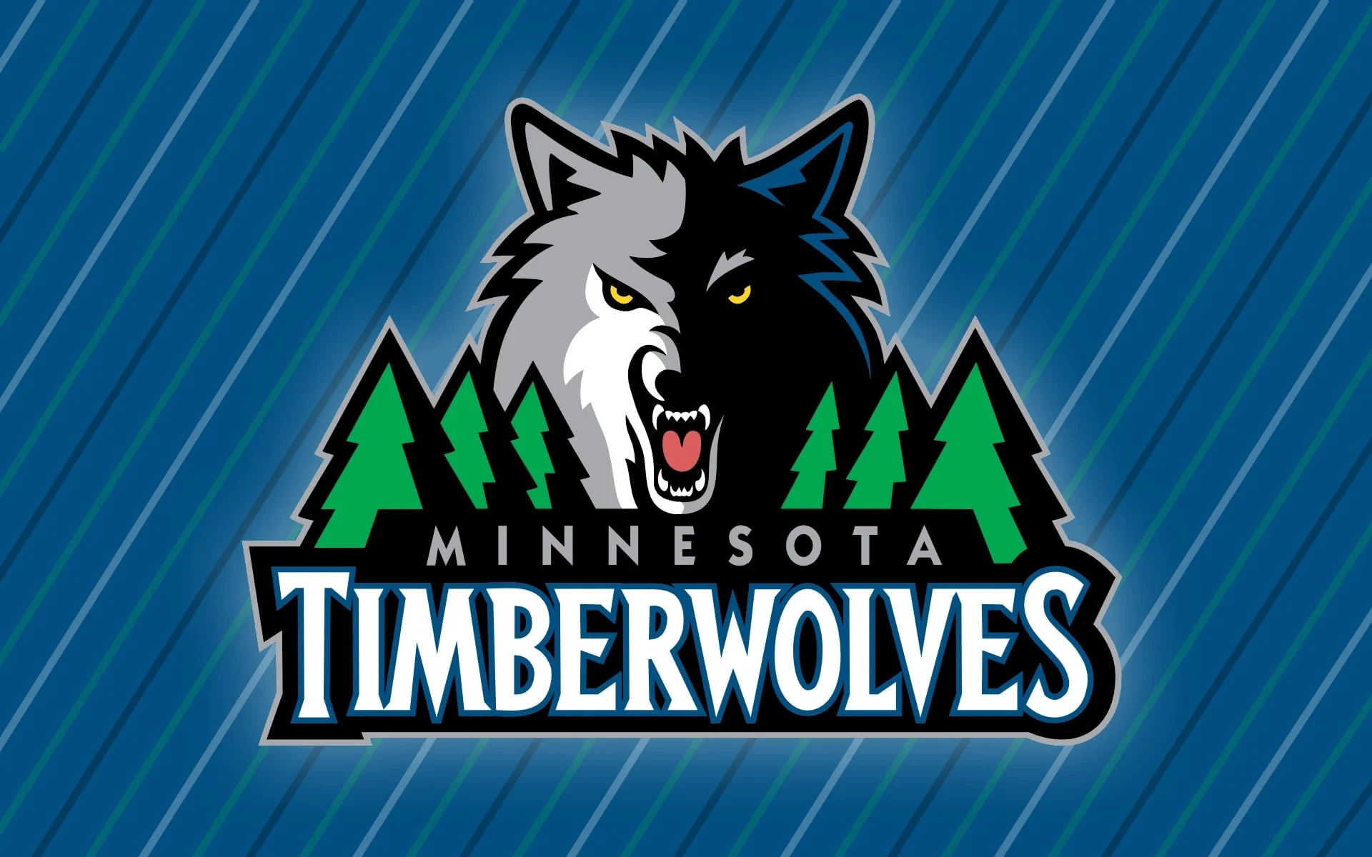 Timberwolves considering Rochester for site of minor league team