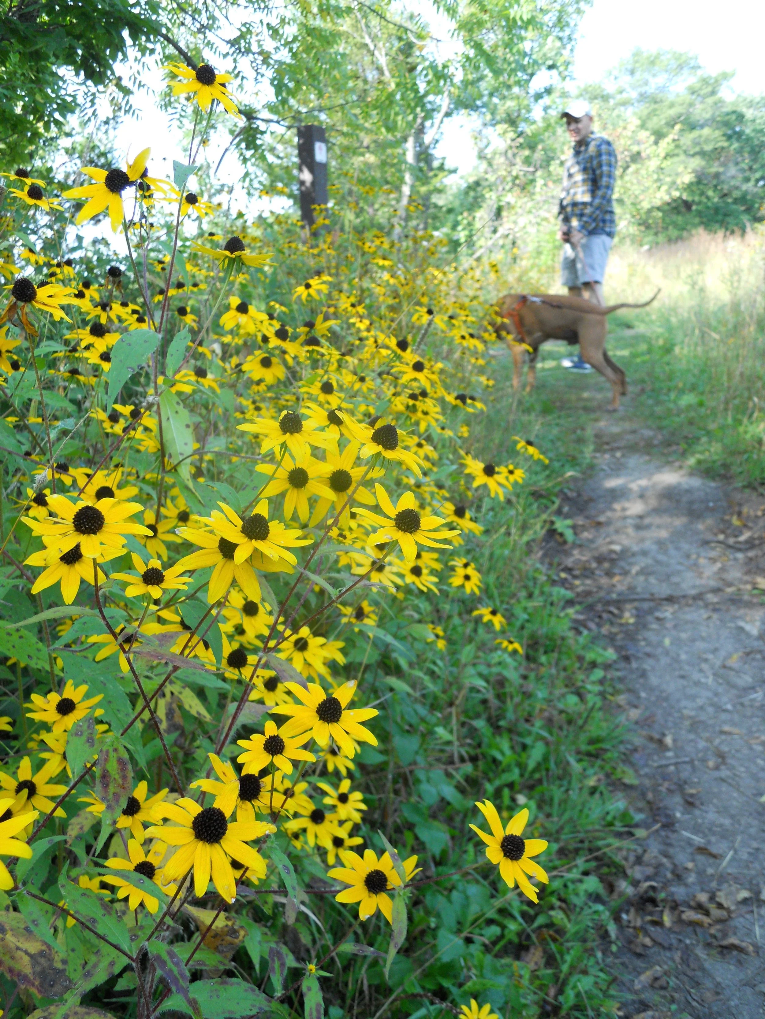 Hiking at Quarry Hill / Photo by Emily Carson